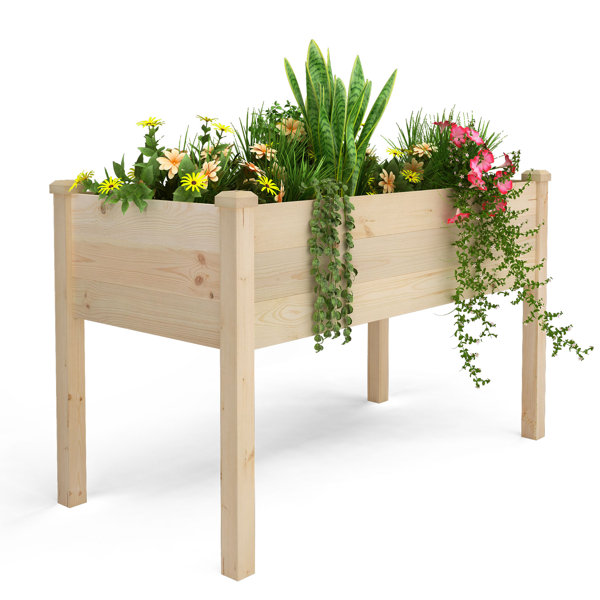 Raised Garden Boxes | Wayfair